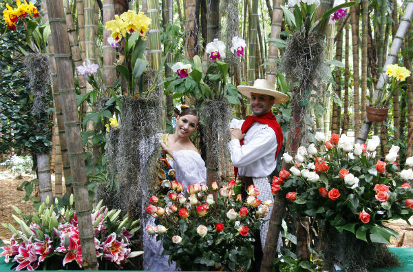 Medellín, capital de las orquídeas y las flores